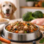 Senior dog beside a bowl of organic dog food with fresh natural ingredients in a home kitchen