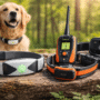 Three GPS dog tracking collars and pet safety devices displayed on a wooden surface outdoors with a golden retriever in the background