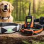 Three GPS dog tracking collars and pet safety devices displayed on a wooden surface outdoors with a golden retriever in the background