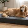 A senior golden retriever rests comfortably on a thick, grey quilted orthopedic mattress in a well-lit living room.